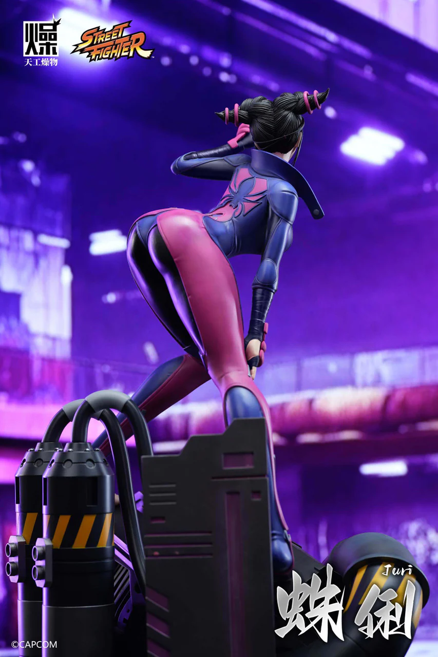 Street Fighter - Han Juri | 1:4 Resin Statue | by TGZW Studio - Image 2